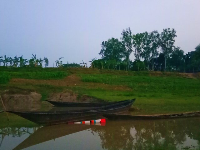 IMG_20250605_201950.jpg