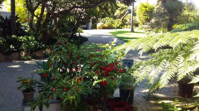thumbnail_20200315_091544.jpg