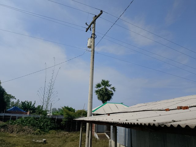 1000045576.jpg