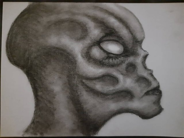 20250622_095311.jpg