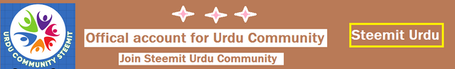 urdu community.png