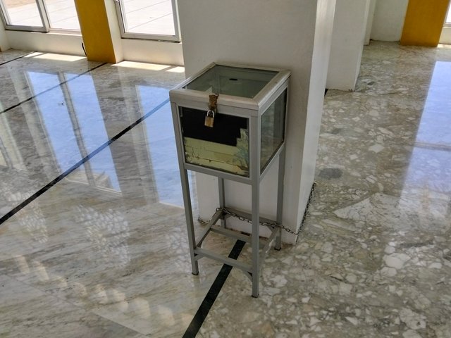 9242.jpg
