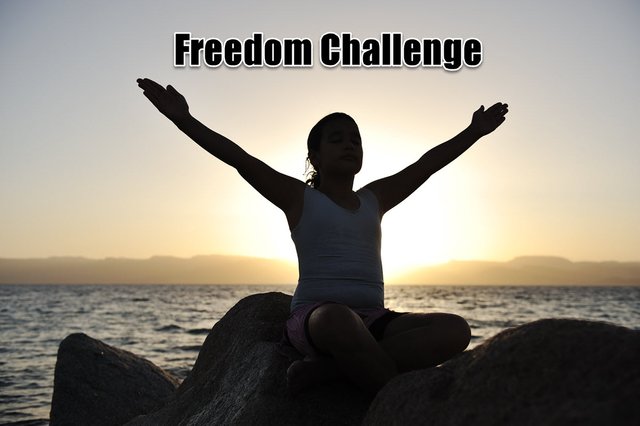 Freedom challenge.jpg