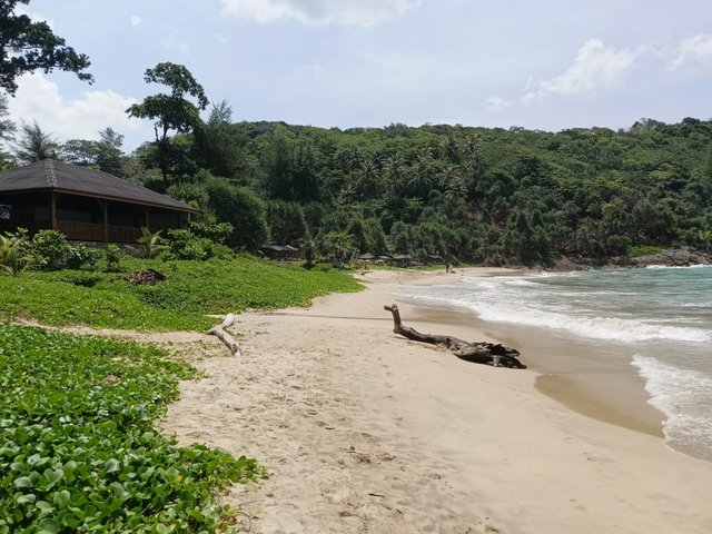 IMG20240413111851.jpeg