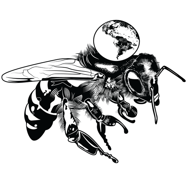 abeja1-muestra5.png