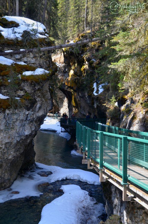 johnston_canyon13.jpg