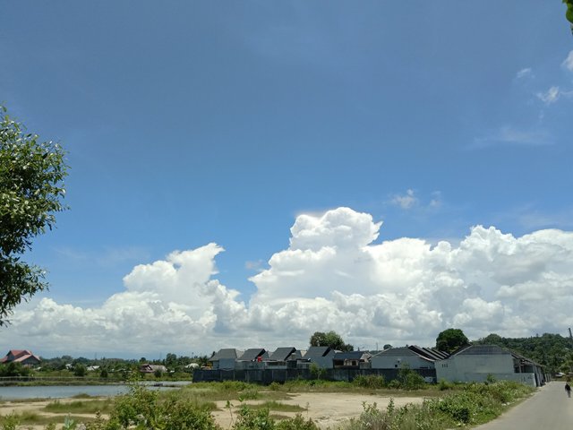 IMG_20250403_125556.jpg
