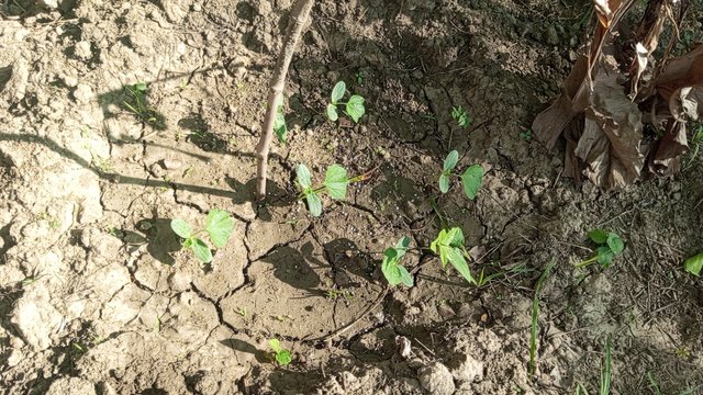 IMG_20231118_092720_5.jpg