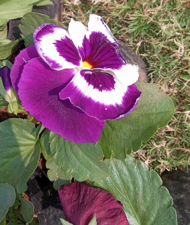 IMG_20221207_140847.jpg