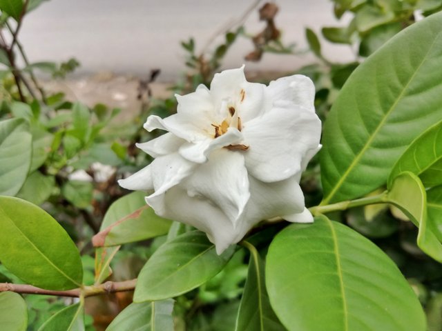 IMG_20250906_141738.jpg