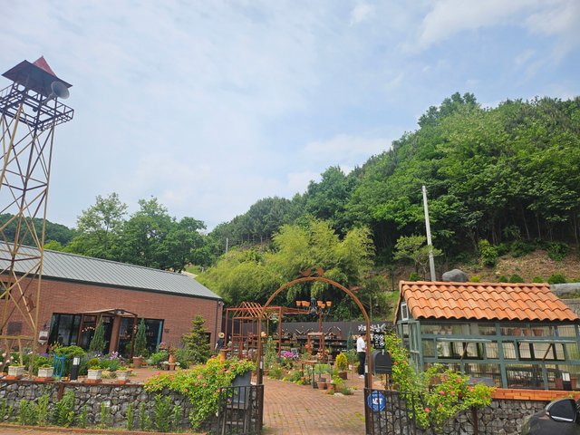 20250523_131146.jpg