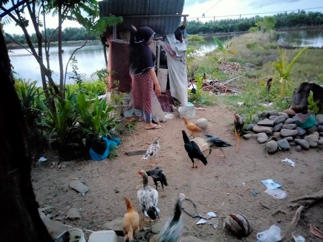 IMG20250722185715.jpg