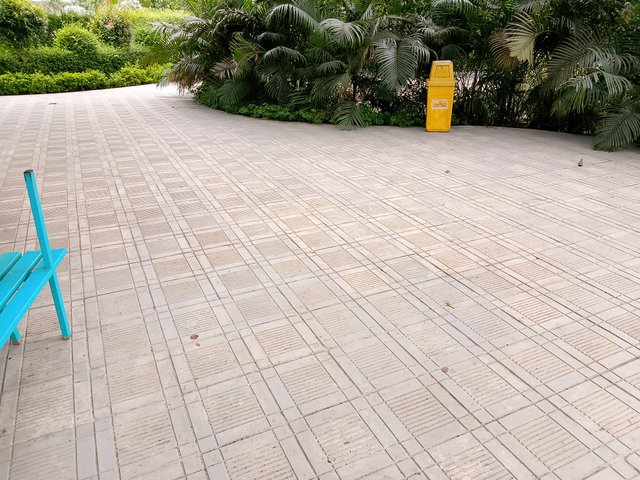 1000035665.jpg