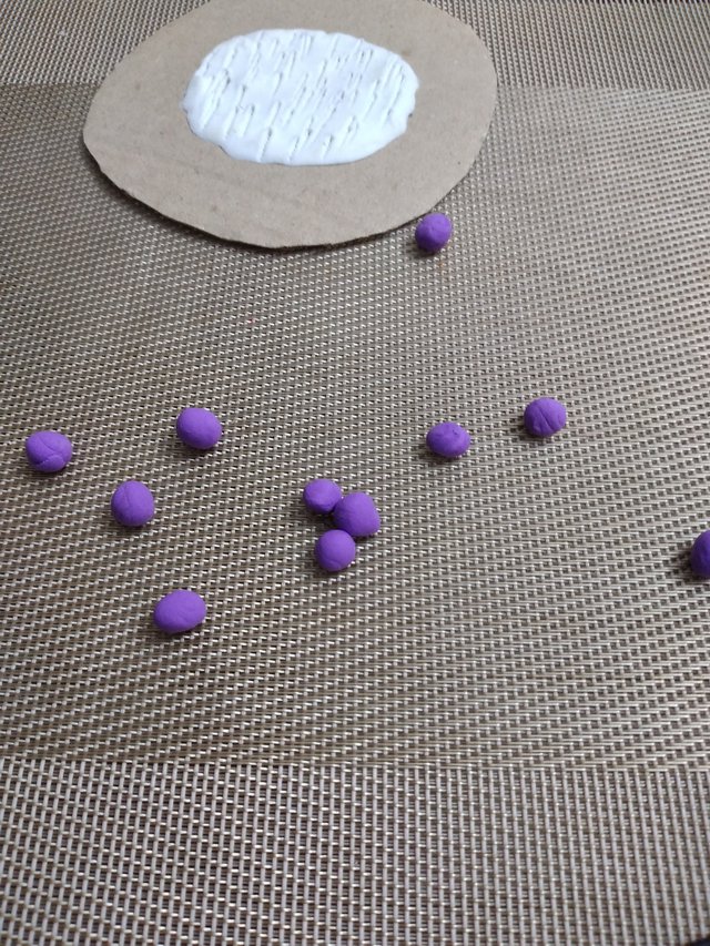 20250626_124402.jpg