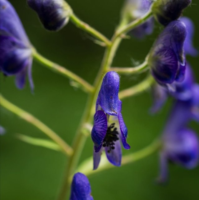 IMG_20250813_133647.jpg