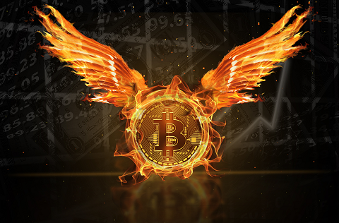 bitcoin-phoenix.png
