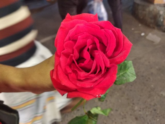 IMG_20250204_202925.jpg