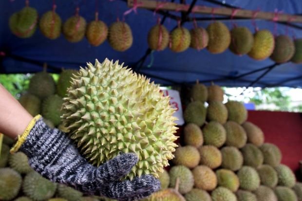 durian diplomacy.jpg