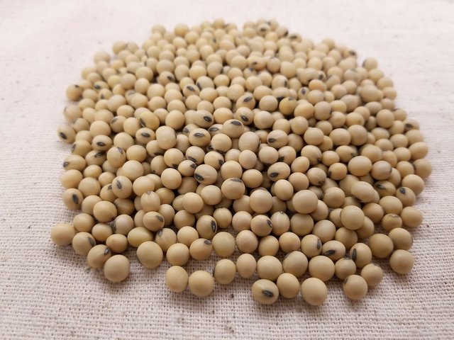 soybean-3754425_1920.jpg