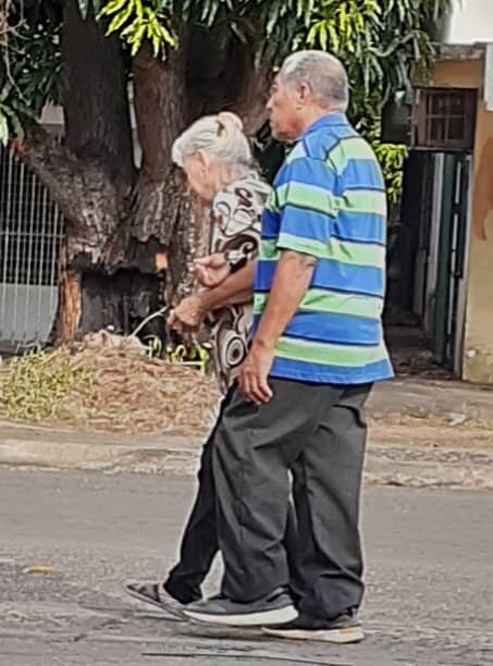 mi viejo.jpg