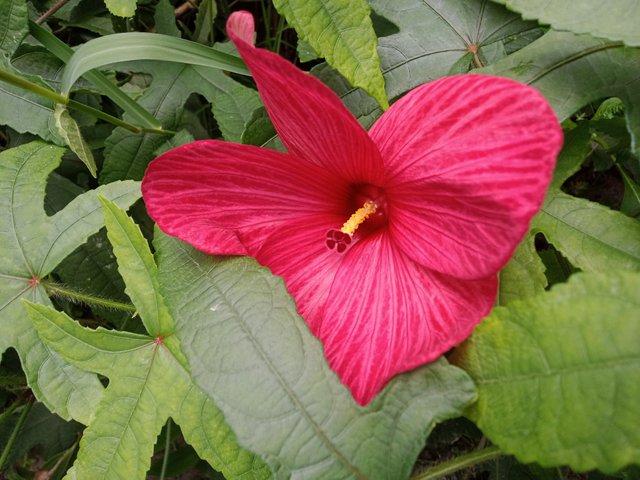 IMG_20250813_164939.jpg