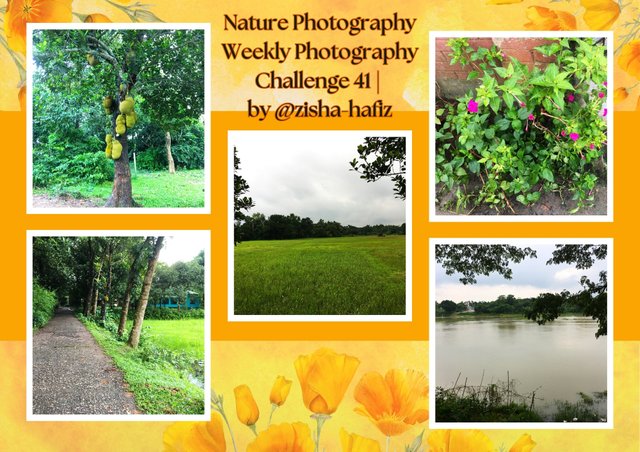 Nature Photography Weekly Photography Challenge 41   by @zisha-hafiz.jpg