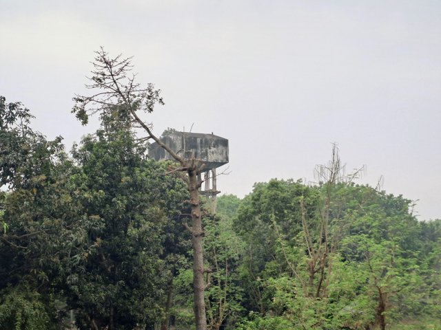 20250320_150444.jpg