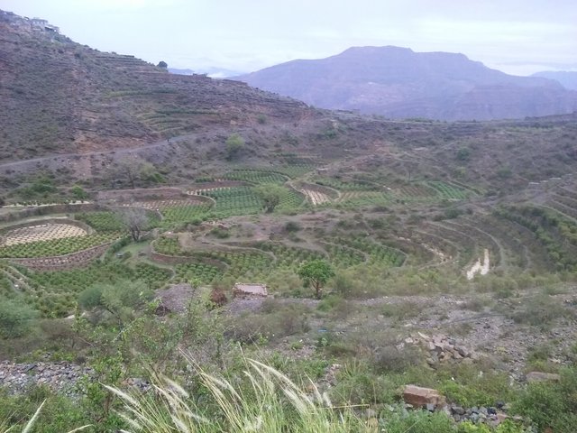 20200420_175710.jpg