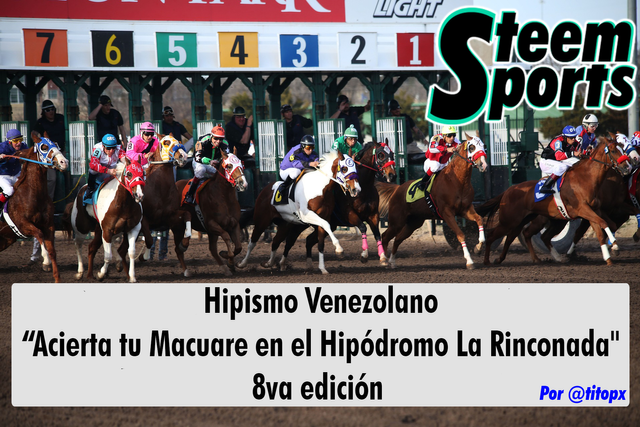 hipodromo concurso.png