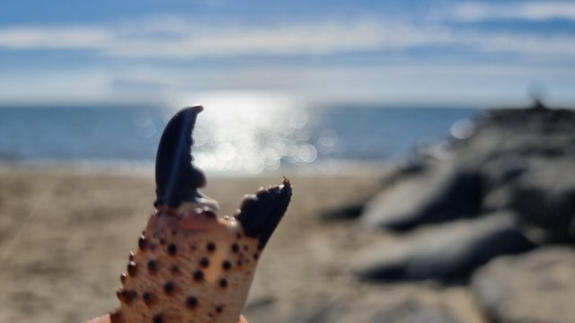 20221016_152948.jpg