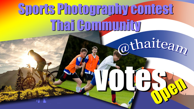 Sports Photography Votes.png