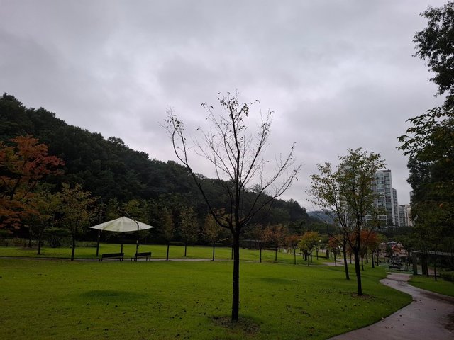 KakaoTalk_20250917_182456590.jpg