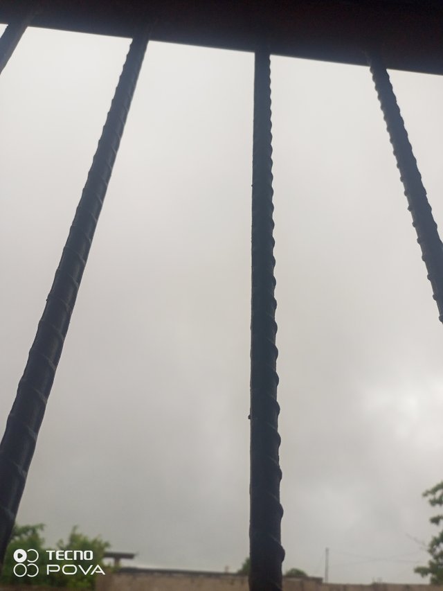 IMG_20250822_074937_959.jpg
