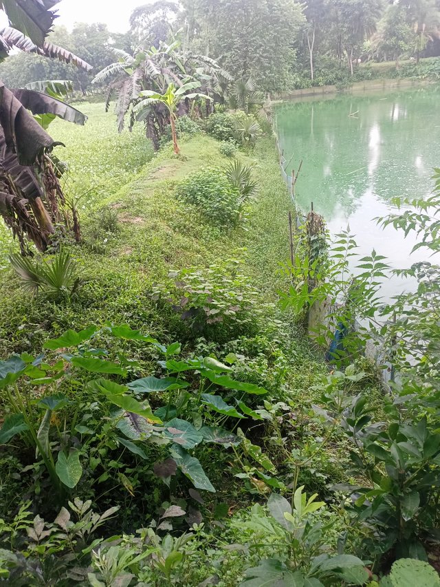 IMG20250727172319.jpg