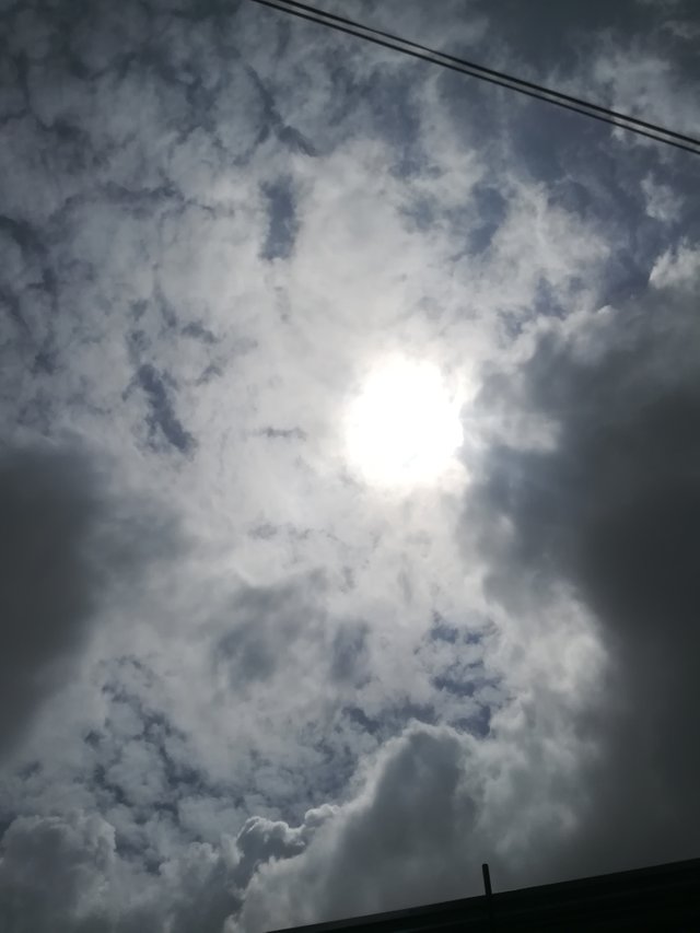 IMG_20190801_130916.jpg