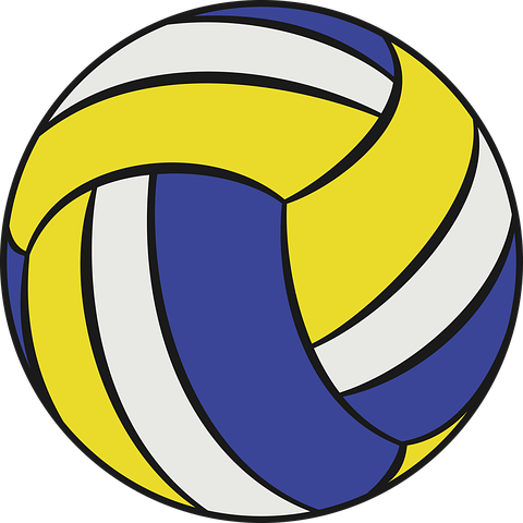 volleyball-7303839__480.png