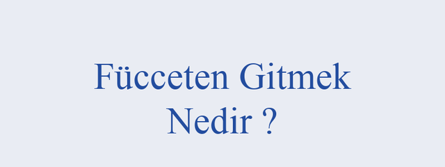 fucceten-gitmek.png