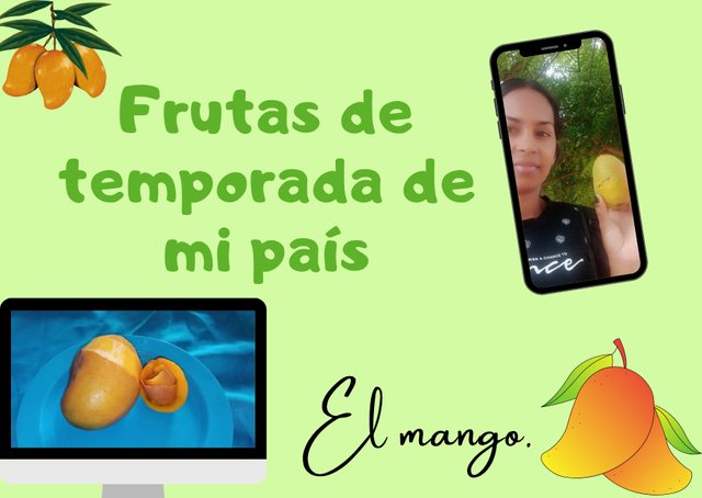 Steemit _20250611_143002_0000.jpg