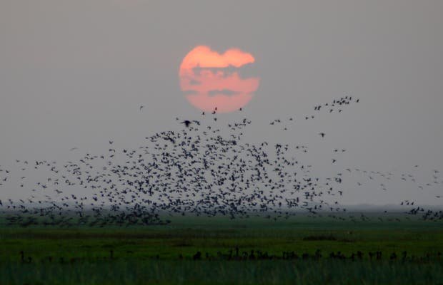 safari-nocturno-en-los-llanos.jpg