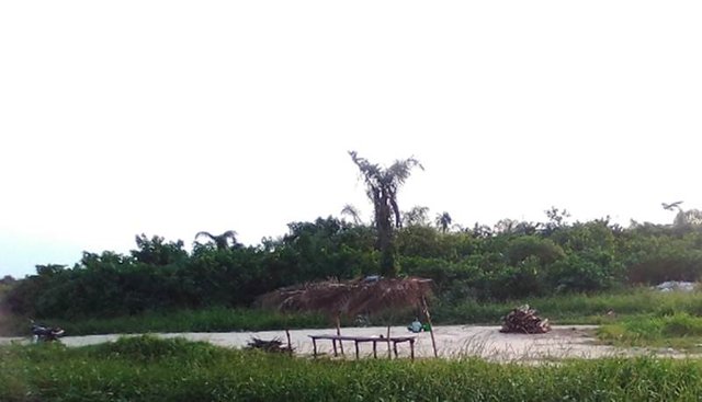 Road to the local beach.jpg