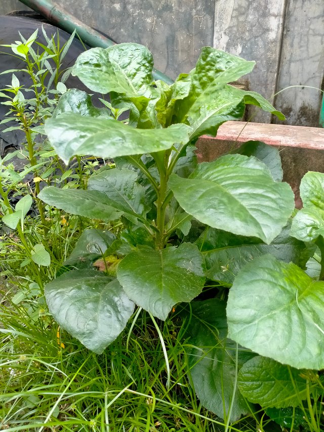 IMG20250913112843.jpg