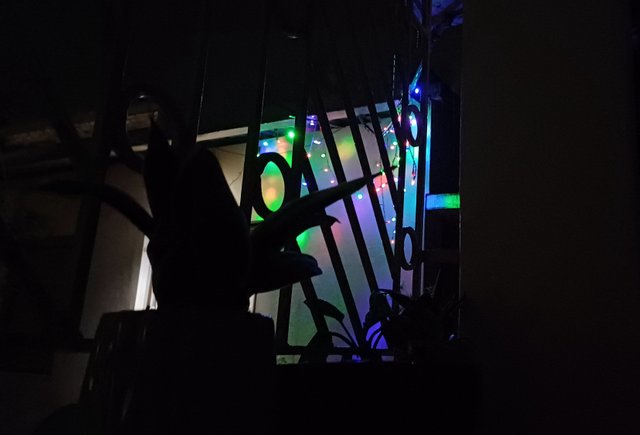 20250410_213409.jpg