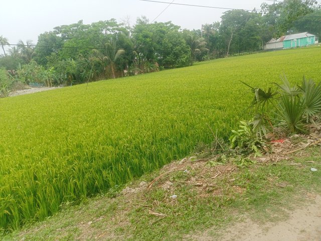 IMG20250420124447.jpg