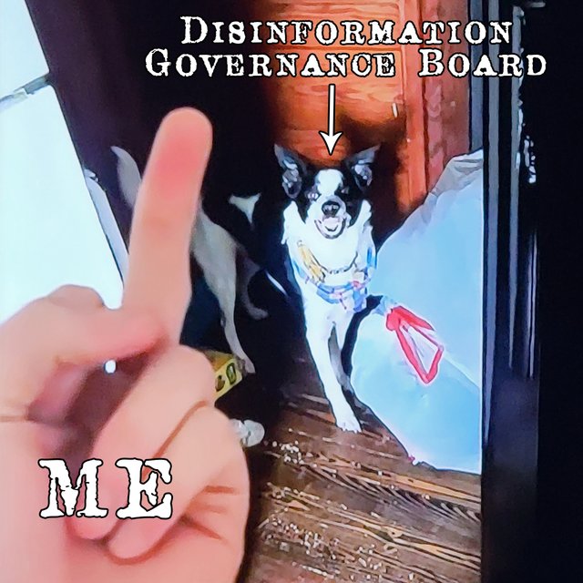 board of dogs disinformation.jpg