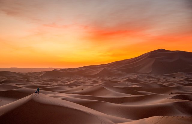 14-07-11-sahara.jpg