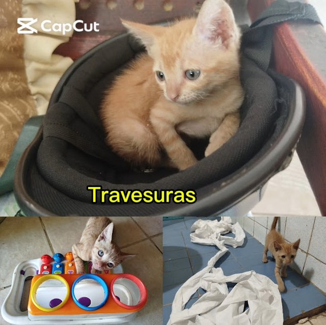 travesuras.jpg