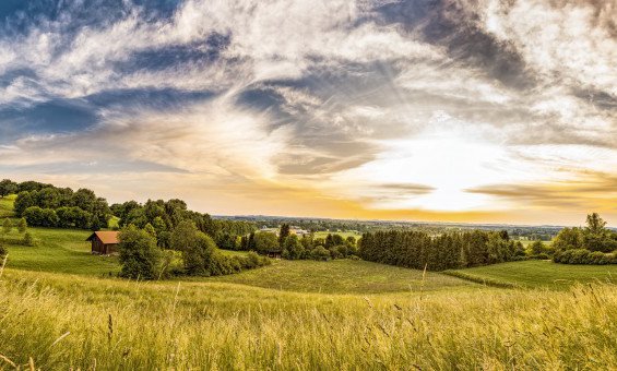 hut_meadow_pasture_nature_barn_field_field_barn_landscape-1438123.jpg