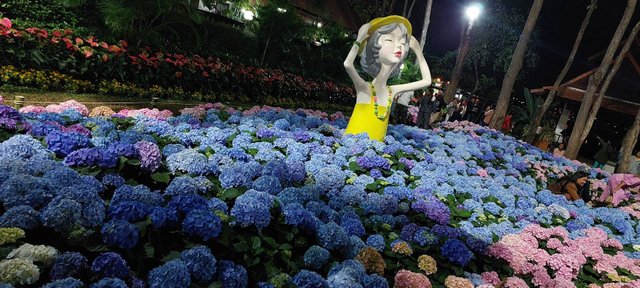 Charming Chiang Mai Flower Festival6.jpg