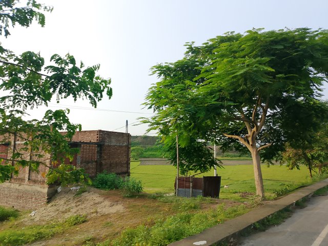 1000045081.jpg