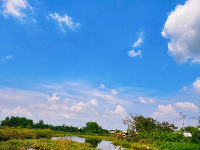 IMG_20250510_053712.jpg